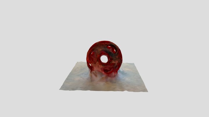 Polycam capture 3D Model
