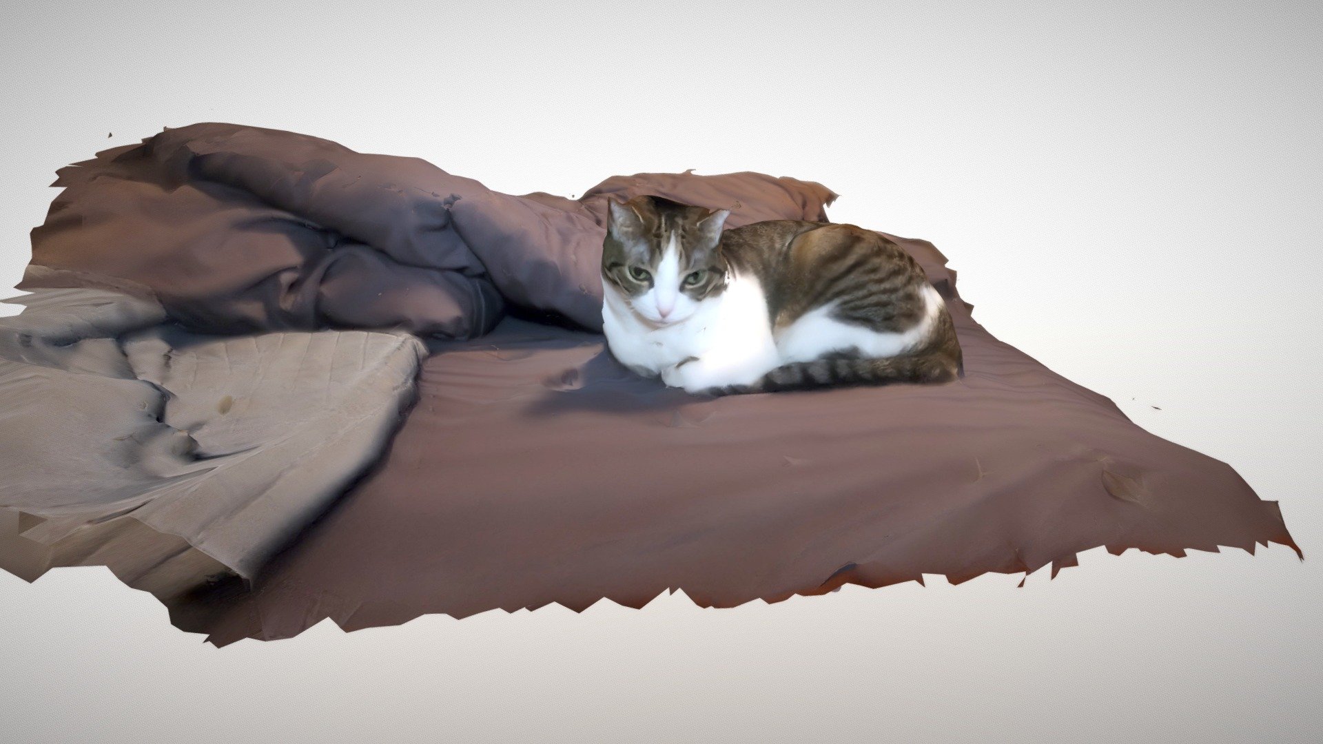 Photogrammetry Vignette: Cat on Bed - Download Free 3D model by ...