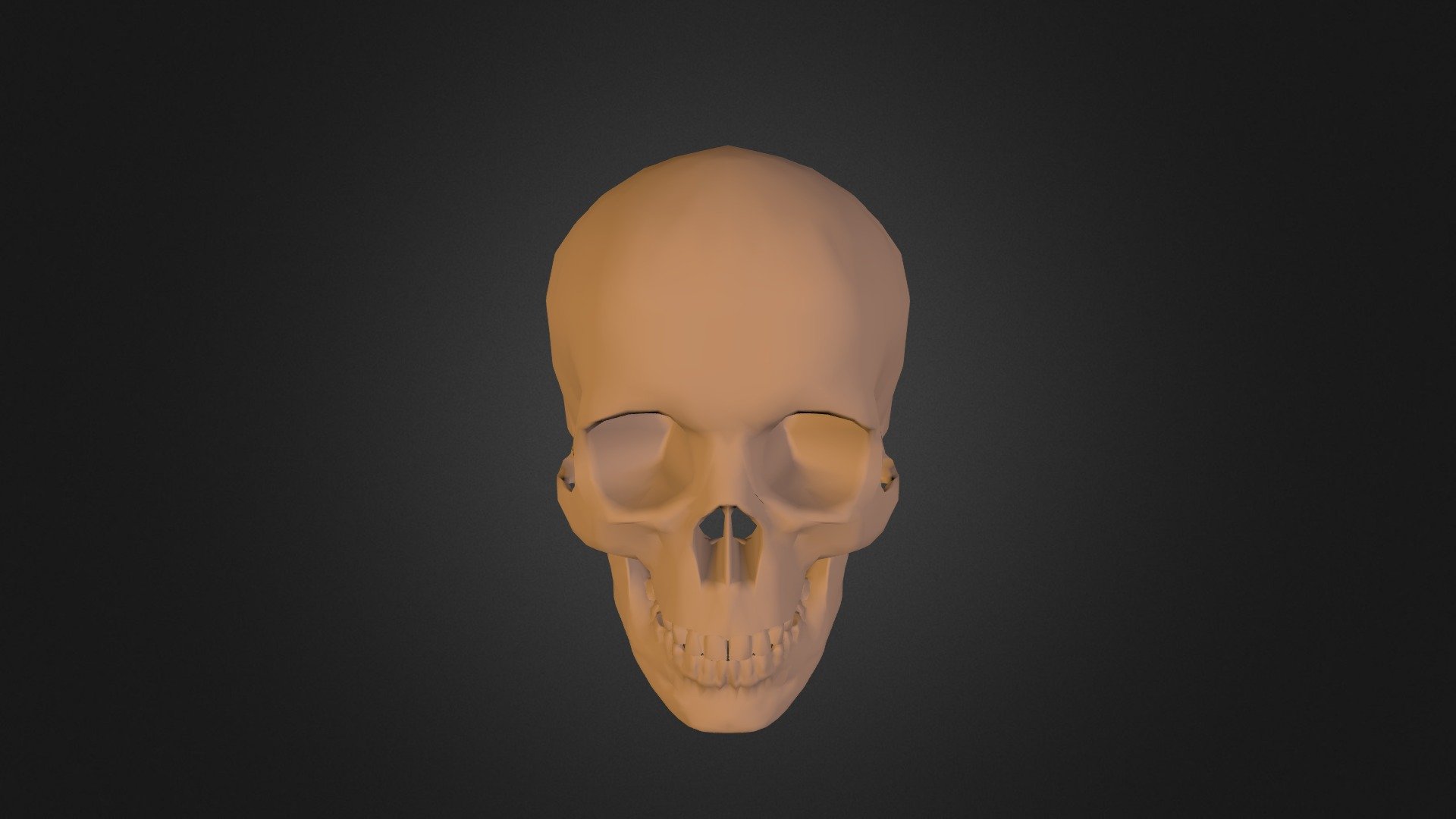 human skull - 3D model by leopoly [54d8e61] - Sketchfab