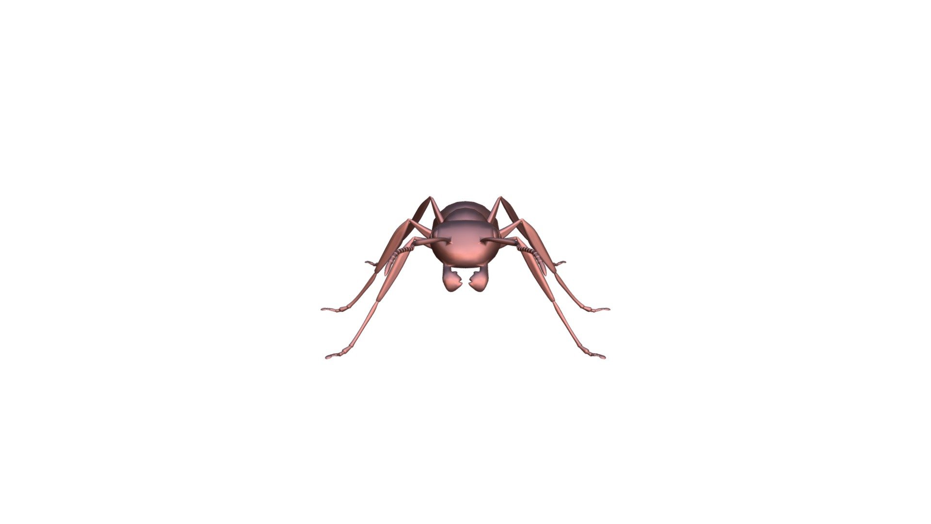 Black Ant Model