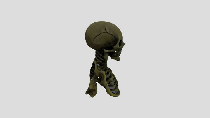 Tibetan Fluorescent Skeleton 3D Model