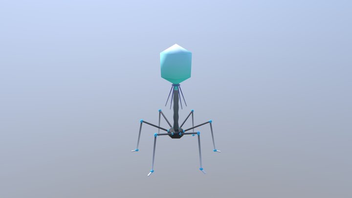 BacterioPhage 3D Model