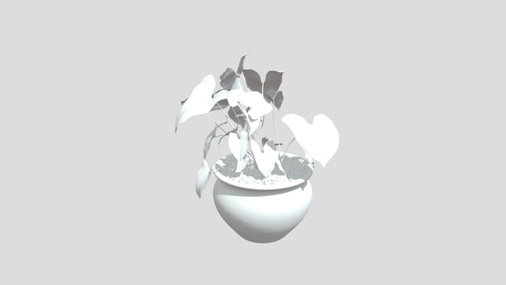 Potted_plant_02_4k