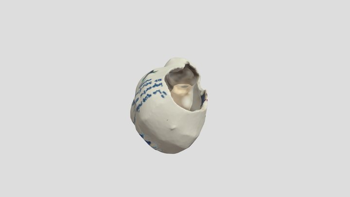 Regis 3D Model
