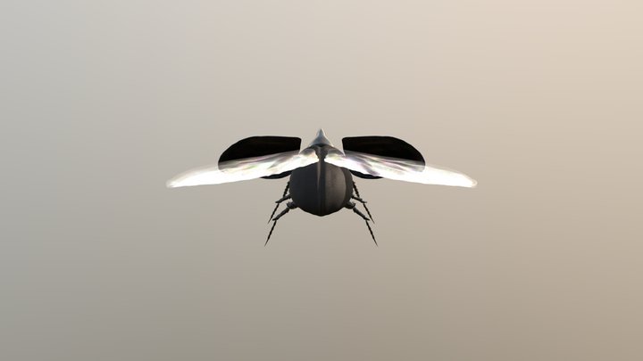 Rihorn Beetle 3D Model