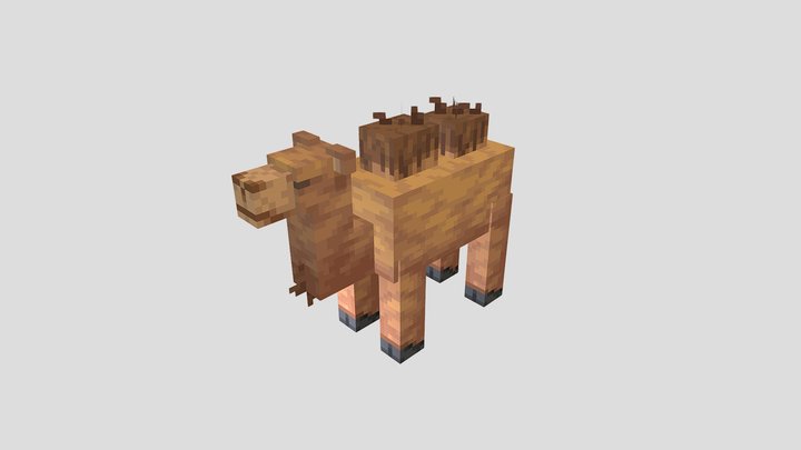 Camel 3D Model