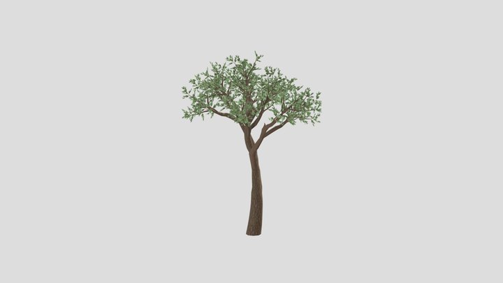 SeaPine_Tree 3D Model