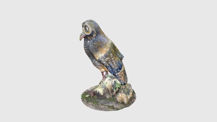 Owl 3D Model