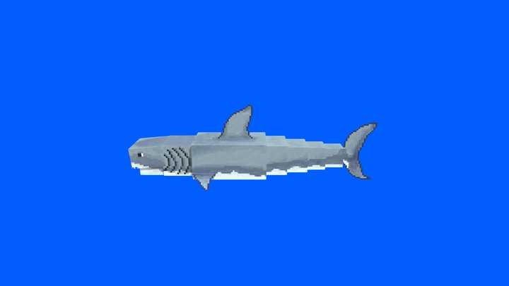 Megalodon 3D Model