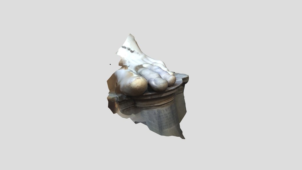 Foot