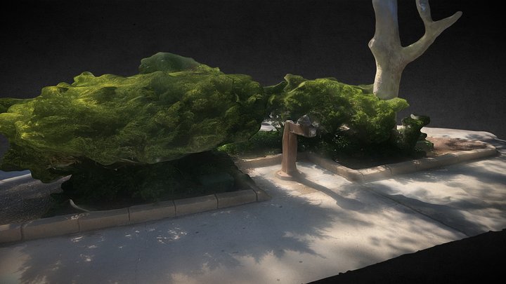Planter 3D Model