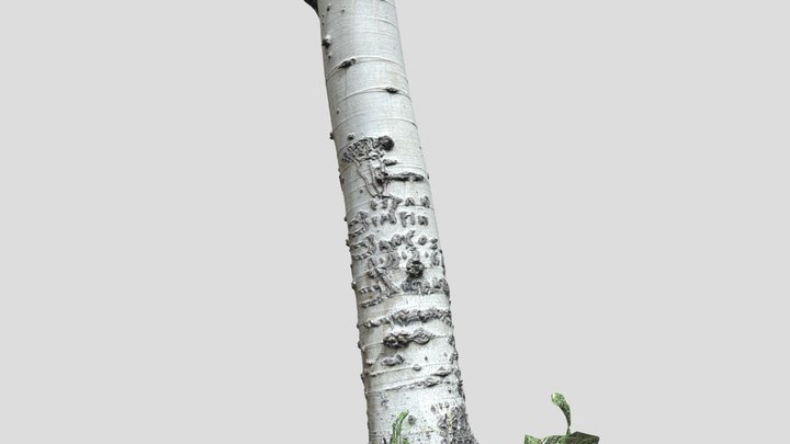Elko 5 3D Model