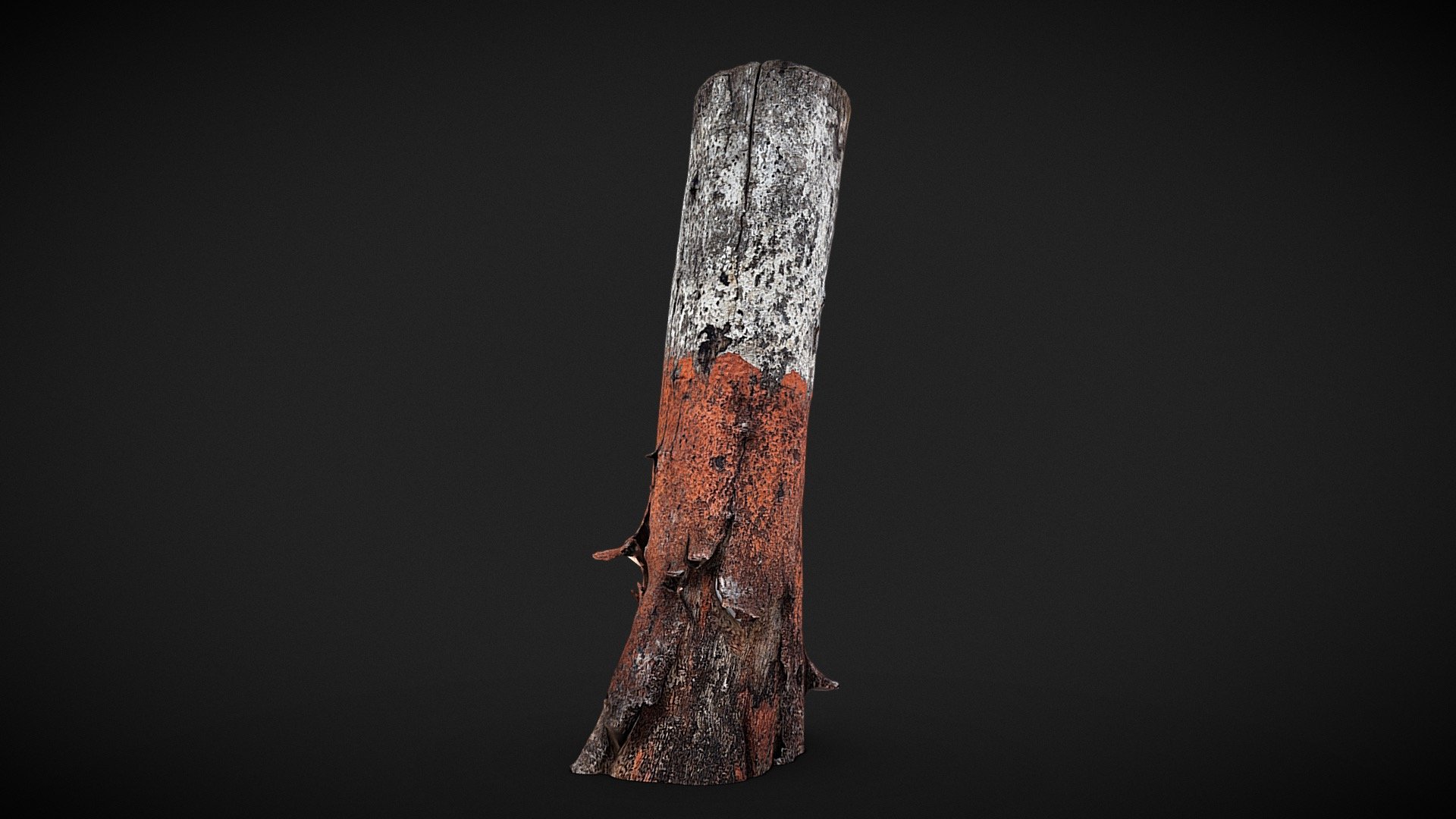 Tree Trunk - Download Free 3D model by raobott [54f96af] - Sketchfab