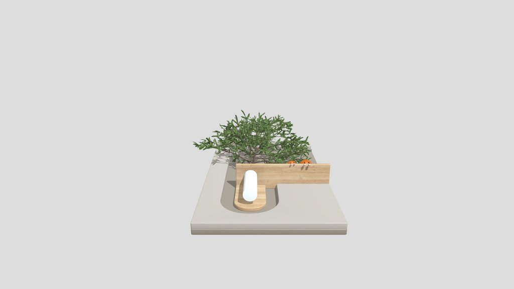 Plant
