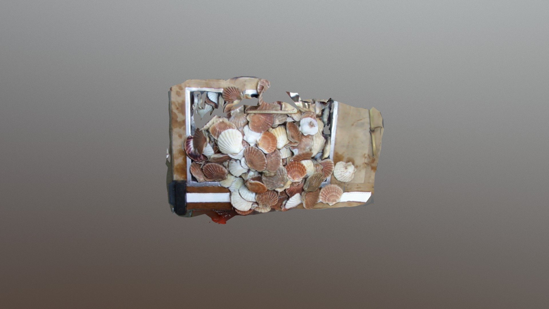 Test photogrammetry of scallops on a bench