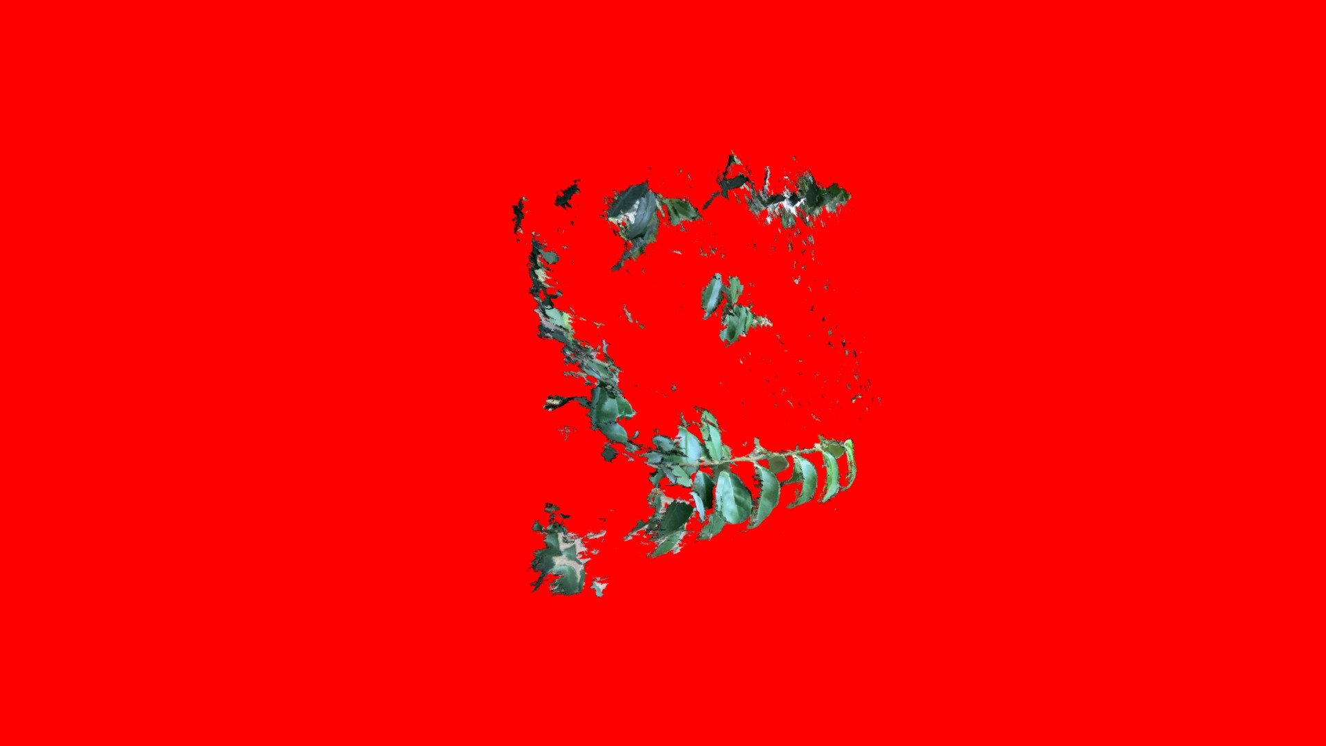 leaf1