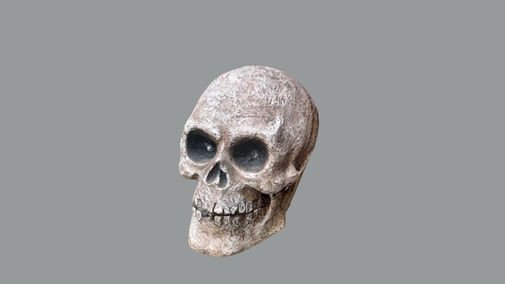 Halloween Skull 3D Model