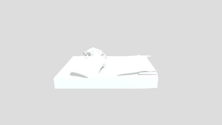 Sketchfabmodel 3D Model