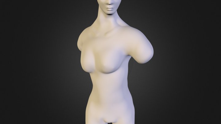 Female Torso first attempt 3D Model