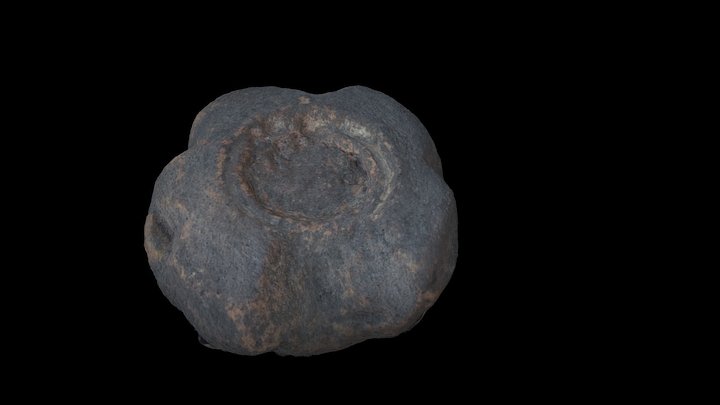 The Cairns - Mould fragment Find #2420 3D Model