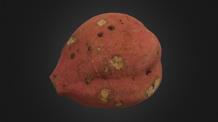 Sweet Potato3 (安納芋) 3D Model