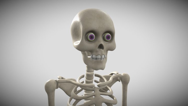Silly Skelly 3D Model