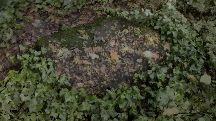 Ivy-covered Stone – Modèle 3D gratuit STL