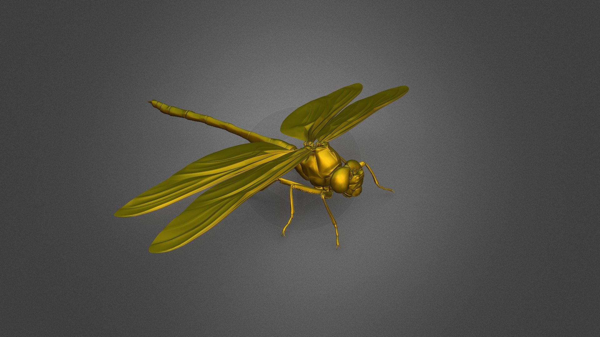 Chrysochroa_fulgidissima