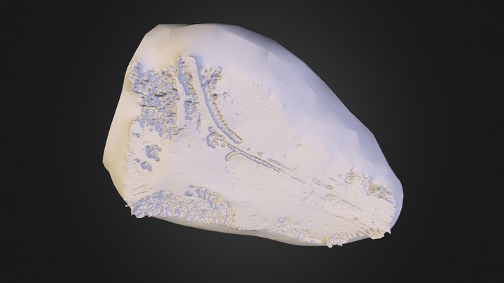2Q-model-MED-400kfaces- 3D Model