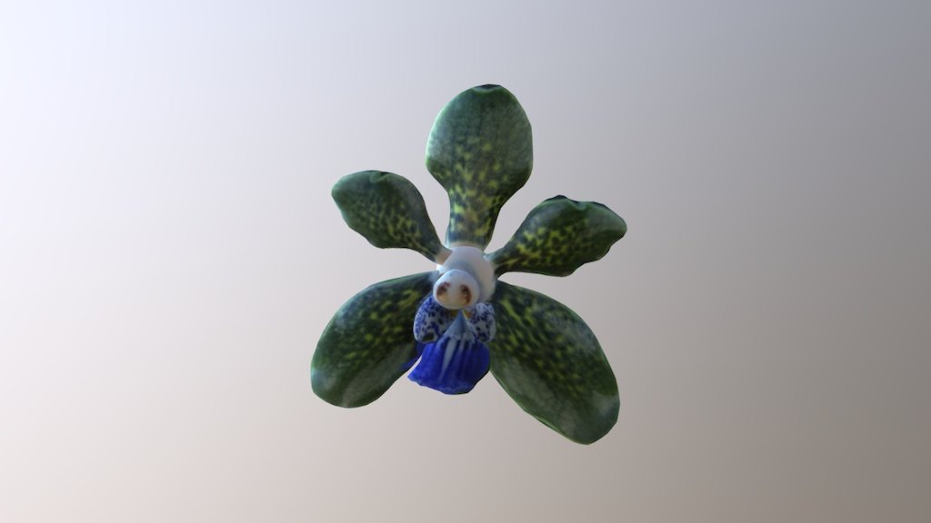 Orchid 9 Poppetje