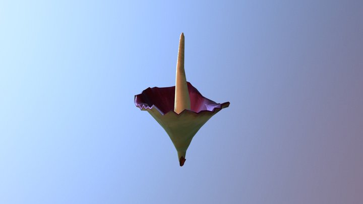 Corpseflower 3D Model