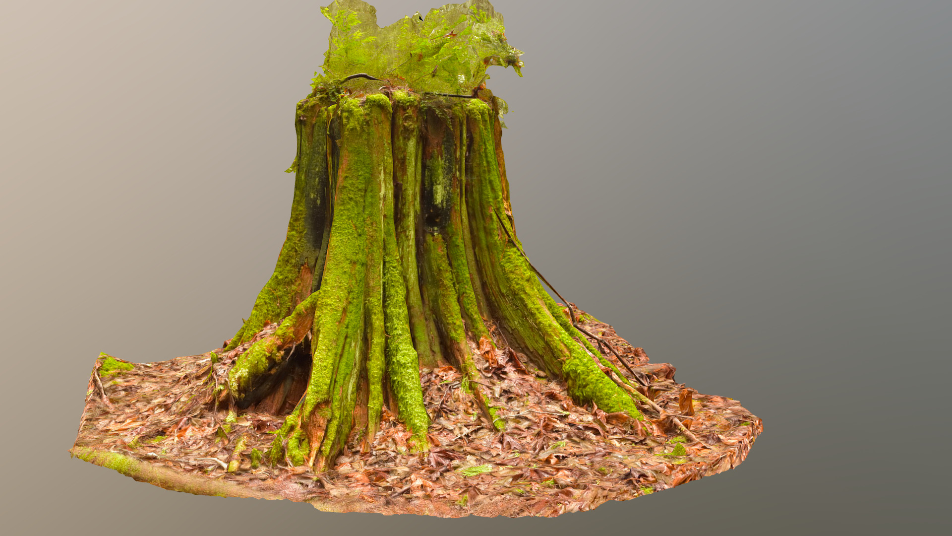 3D model Mossy Stump Low Poly - This is a 3D model of the Mossy Stump Low Poly. The 3D model is about a green cactus with pointy leaves.