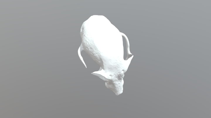 Flying Fox Skull Low 3D Model