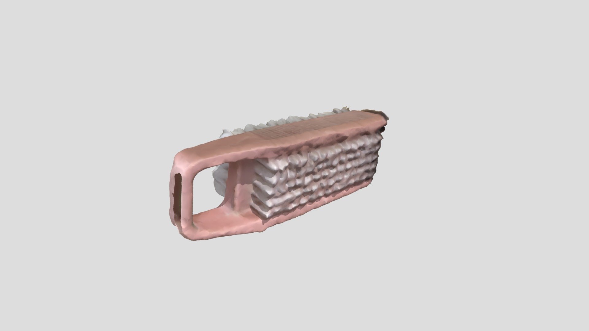 Cleaning Brush