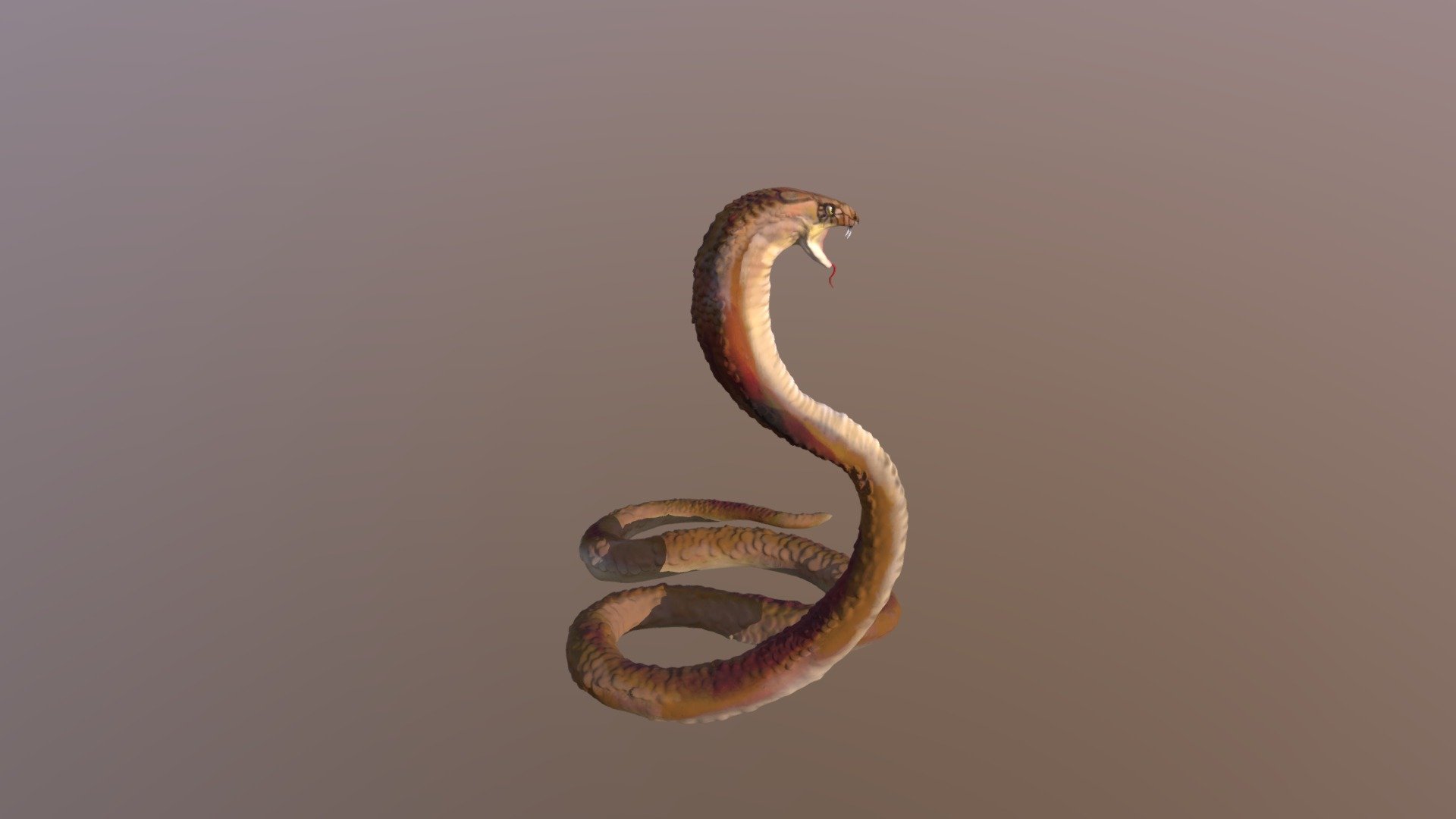 SculptrVR Cobra