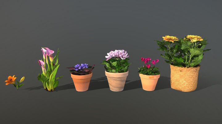 Flower pack 3D Model