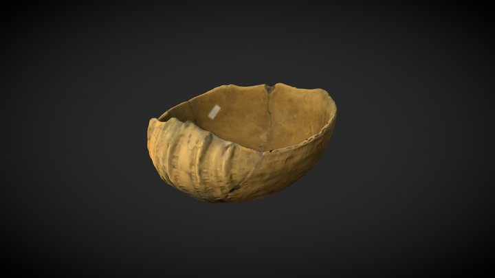 23 3D Model
