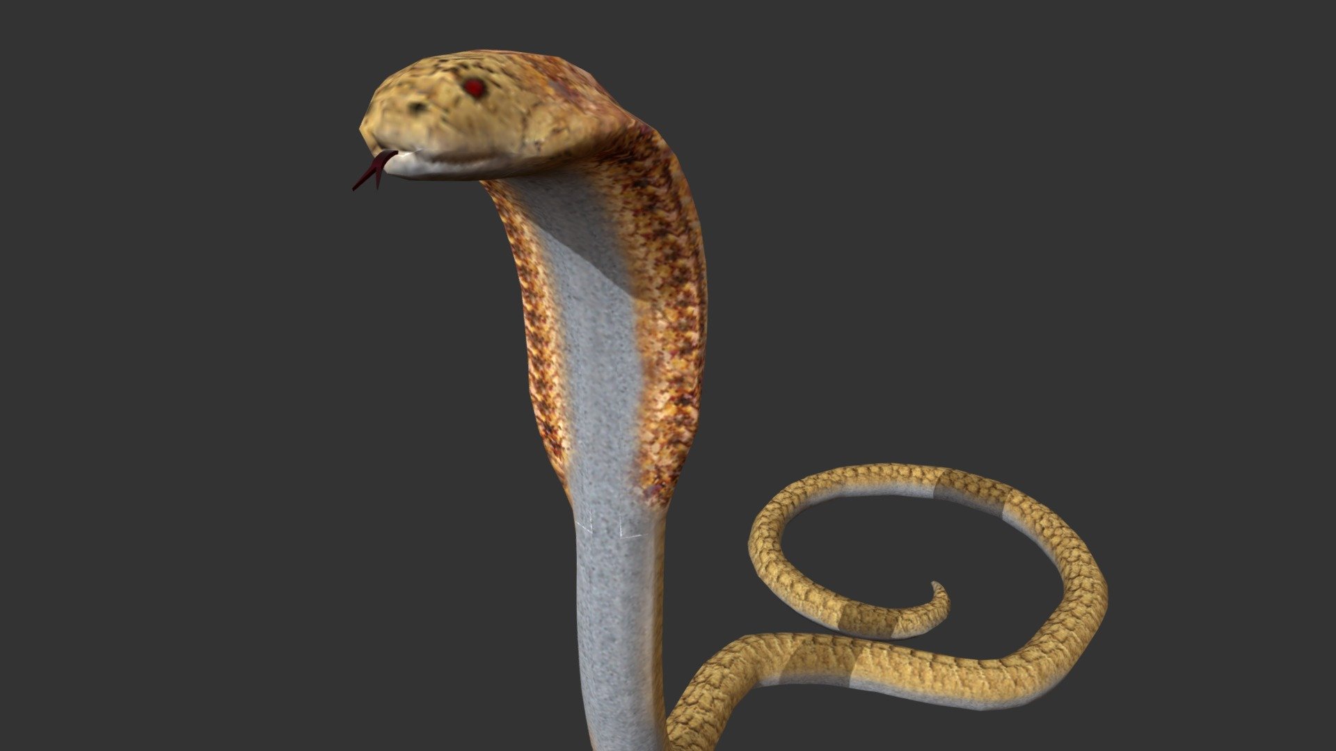 3D model Indian Cobra Naja Naja VR / AR / low-poly