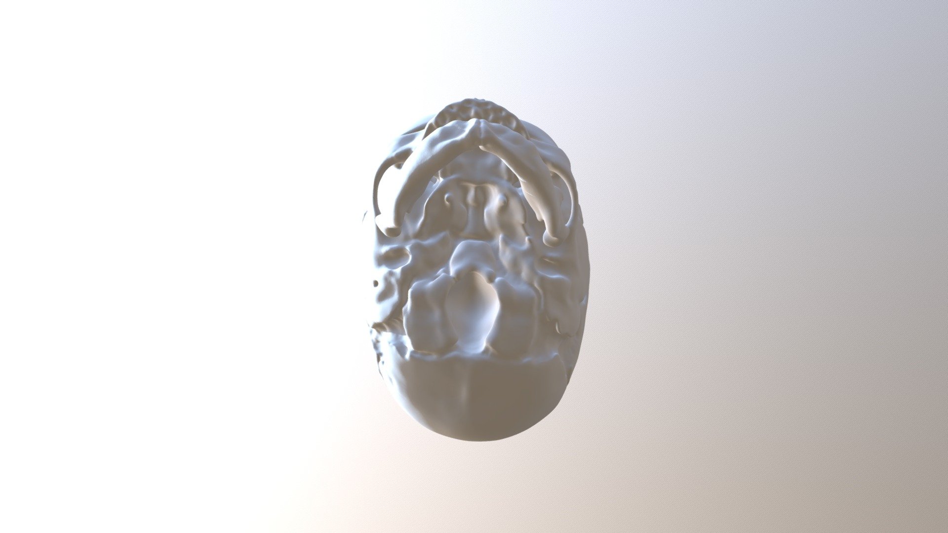 Baby Skull