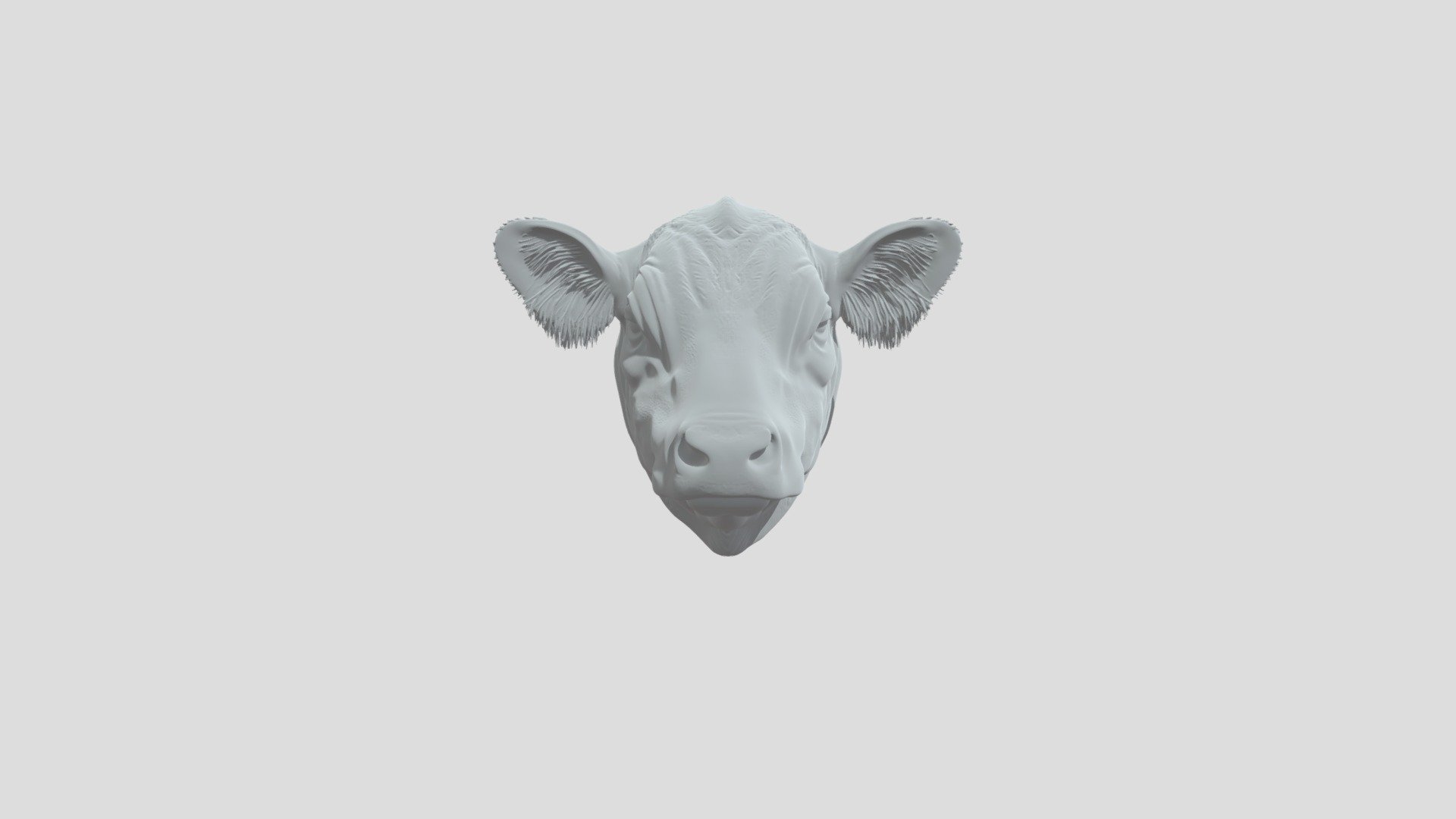 ANgus - 3D model by MAsterrocca [553e132] - Sketchfab
