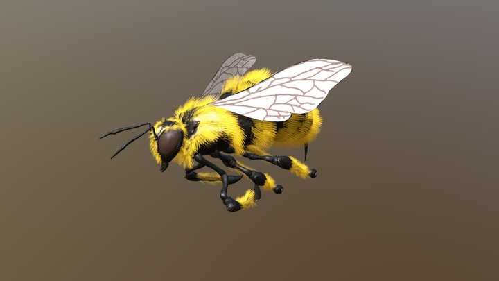 Bumblebee 3D Model