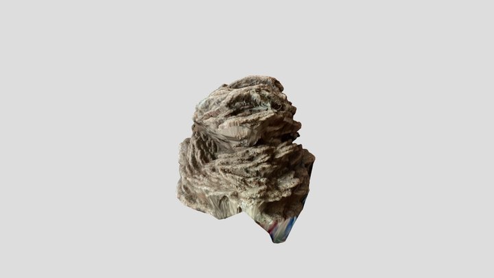 Pine thingy 3D Model