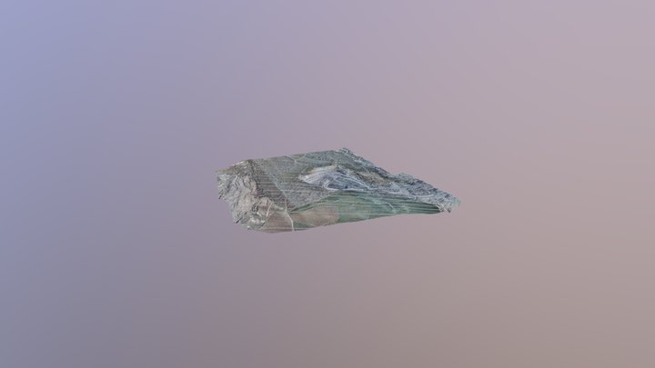 Uysalucus 3D Model