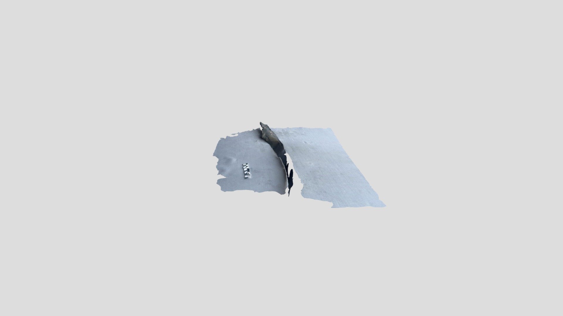 Polycam capture