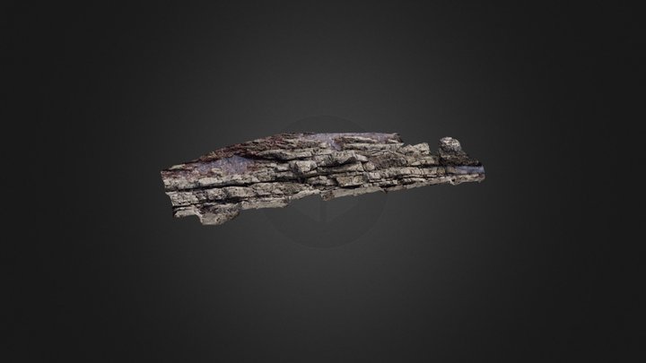 Gooseneck Barnacles: Transect 3D Model