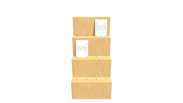 Display Rack 3D Model
