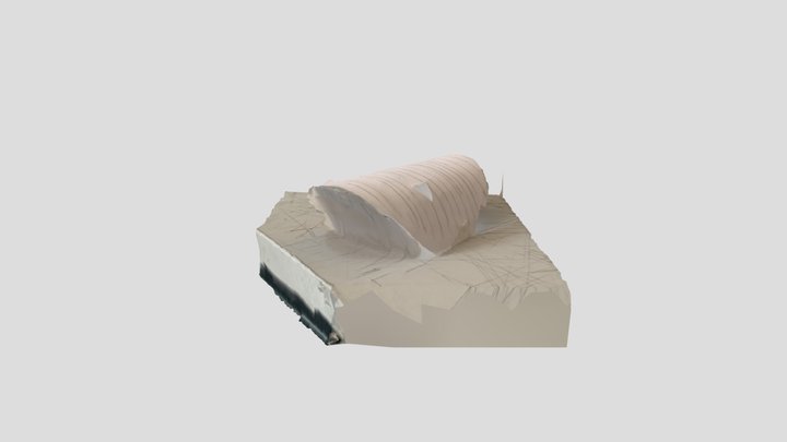 Coque 3D Model