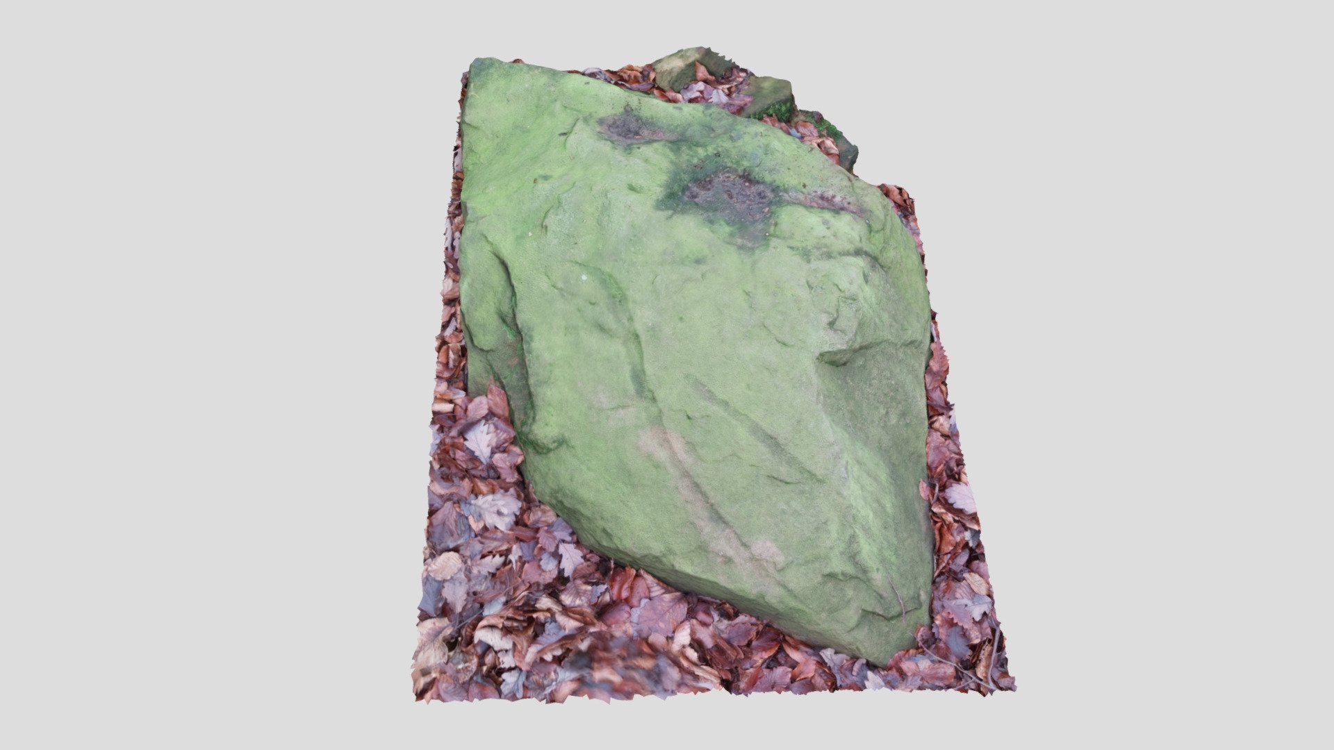 Plough Scarred Stone, Wombwell Woods