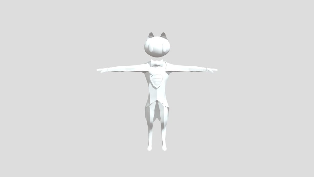 Cat Character