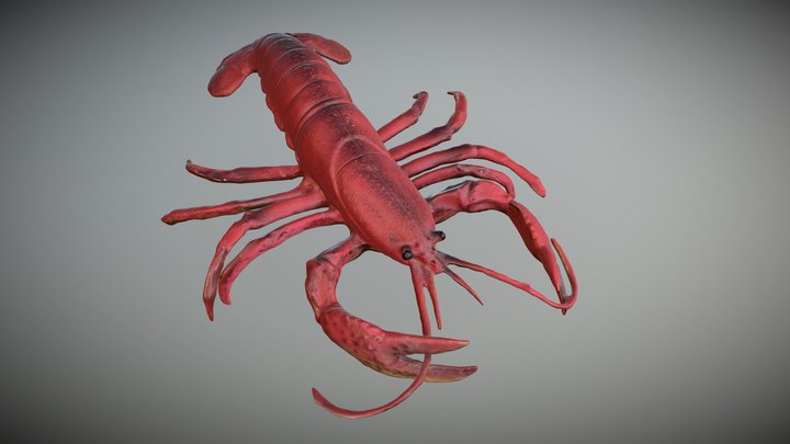 Plastic Lobster 3D Model